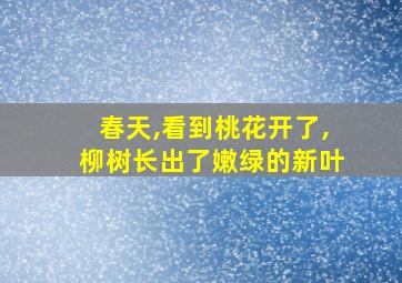 春天,看到桃花开了,柳树长出了嫩绿的新叶