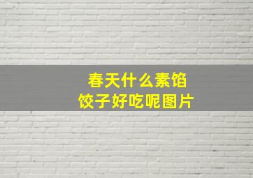 春天什么素馅饺子好吃呢图片