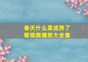 春天什么菜成熟了呢视频播放大全集