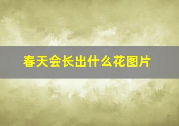 春天会长出什么花图片