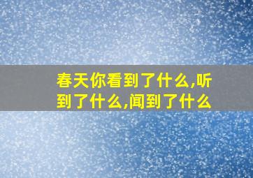 春天你看到了什么,听到了什么,闻到了什么