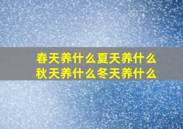 春天养什么夏天养什么秋天养什么冬天养什么