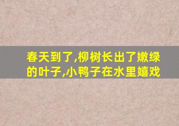 春天到了,柳树长出了嫩绿的叶子,小鸭子在水里嬉戏