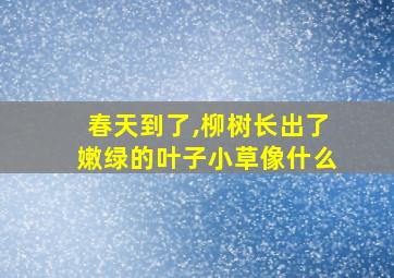 春天到了,柳树长出了嫩绿的叶子小草像什么