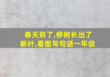 春天到了,柳树长出了新叶,看图写句话一年级