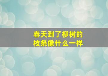 春天到了柳树的枝条像什么一样