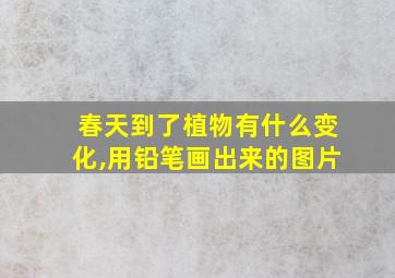 春天到了植物有什么变化,用铅笔画出来的图片