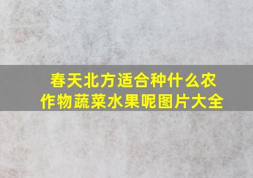 春天北方适合种什么农作物蔬菜水果呢图片大全