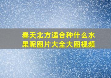 春天北方适合种什么水果呢图片大全大图视频