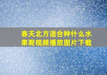 春天北方适合种什么水果呢视频播放图片下载