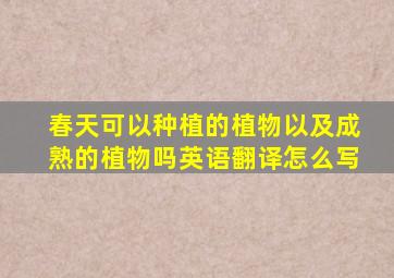 春天可以种植的植物以及成熟的植物吗英语翻译怎么写