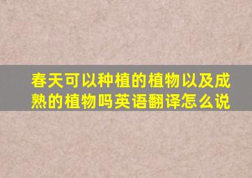 春天可以种植的植物以及成熟的植物吗英语翻译怎么说