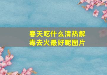 春天吃什么清热解毒去火最好呢图片