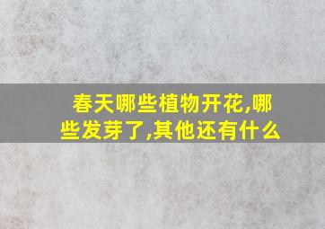 春天哪些植物开花,哪些发芽了,其他还有什么