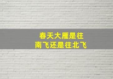 春天大雁是往南飞还是往北飞