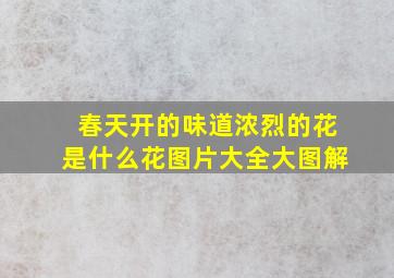 春天开的味道浓烈的花是什么花图片大全大图解