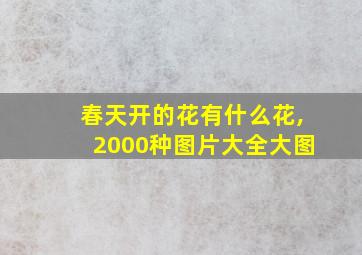 春天开的花有什么花,2000种图片大全大图