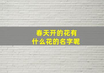 春天开的花有什么花的名字呢