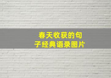 春天收获的句子经典语录图片