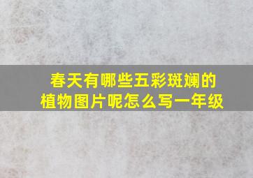 春天有哪些五彩斑斓的植物图片呢怎么写一年级