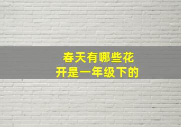 春天有哪些花开是一年级下的