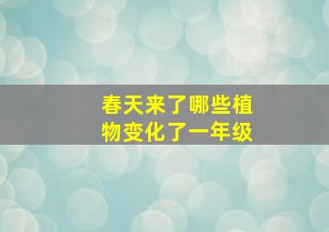 春天来了哪些植物变化了一年级