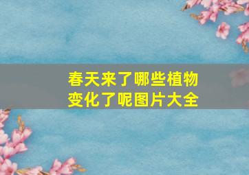 春天来了哪些植物变化了呢图片大全