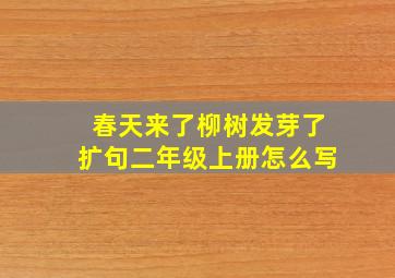 春天来了柳树发芽了扩句二年级上册怎么写