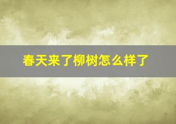 春天来了柳树怎么样了