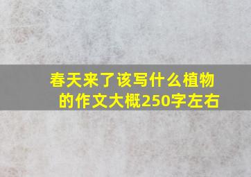 春天来了该写什么植物的作文大概250字左右