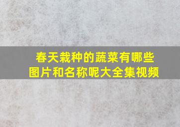 春天栽种的蔬菜有哪些图片和名称呢大全集视频