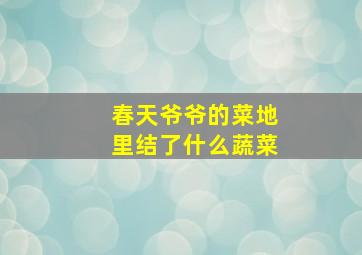 春天爷爷的菜地里结了什么蔬菜