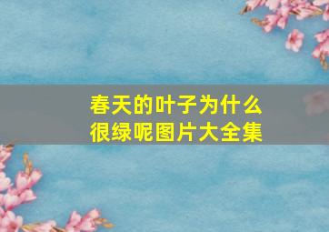 春天的叶子为什么很绿呢图片大全集