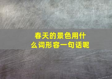 春天的景色用什么词形容一句话呢