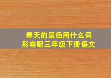 春天的景色用什么词形容呢三年级下册语文