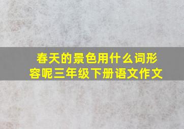 春天的景色用什么词形容呢三年级下册语文作文