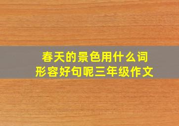 春天的景色用什么词形容好句呢三年级作文