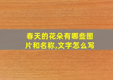 春天的花朵有哪些图片和名称,文字怎么写