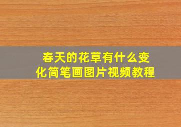 春天的花草有什么变化简笔画图片视频教程