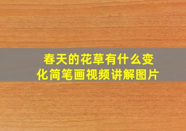 春天的花草有什么变化简笔画视频讲解图片