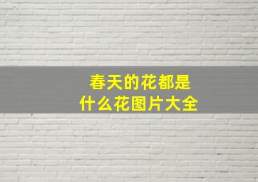 春天的花都是什么花图片大全