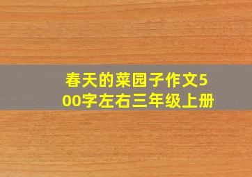 春天的菜园子作文500字左右三年级上册