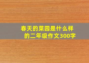 春天的菜园是什么样的二年级作文300字