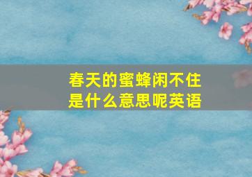 春天的蜜蜂闲不住是什么意思呢英语