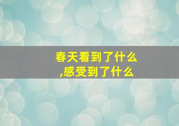 春天看到了什么,感受到了什么