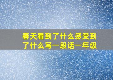 春天看到了什么感受到了什么写一段话一年级