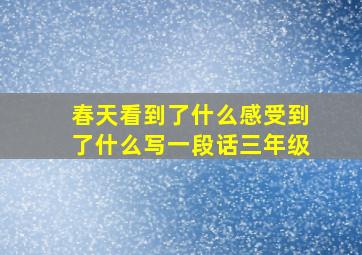 春天看到了什么感受到了什么写一段话三年级