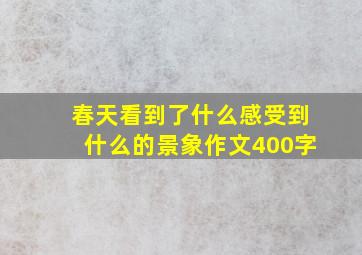 春天看到了什么感受到什么的景象作文400字