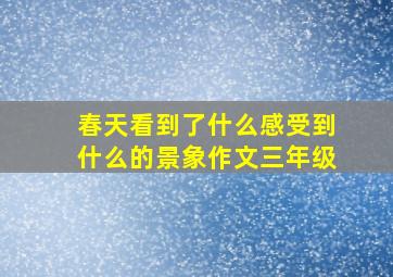 春天看到了什么感受到什么的景象作文三年级