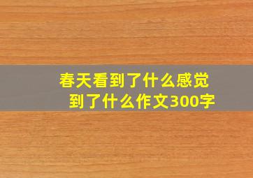 春天看到了什么感觉到了什么作文300字